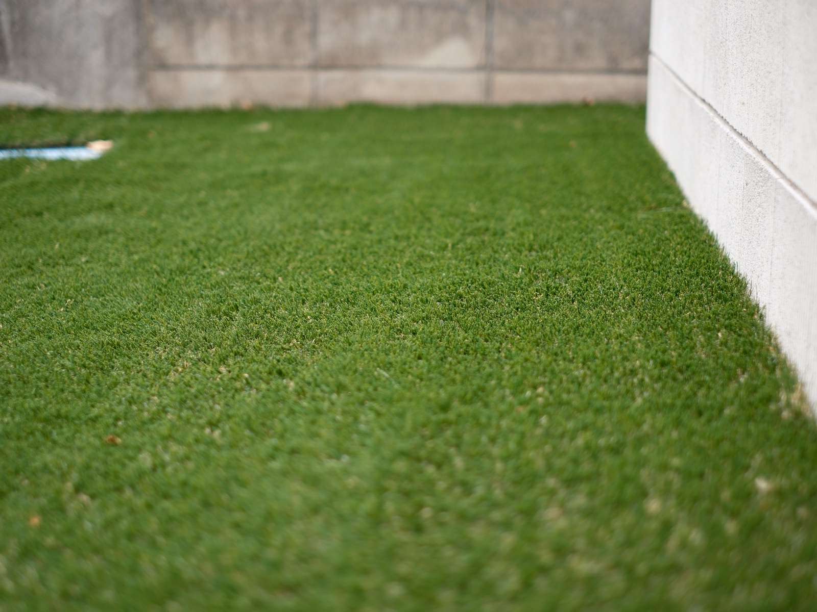 ローメンテナンスの庭を実現する人工芝のアップ