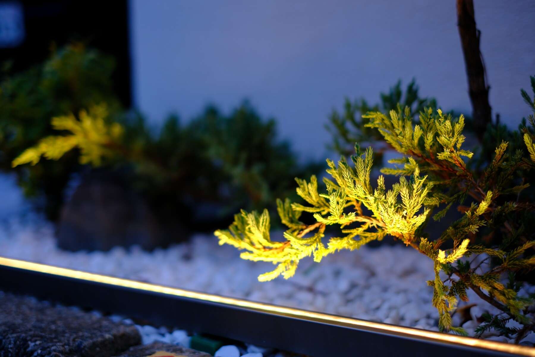 栽とラインライトが調和した夜の門まわりデザイン