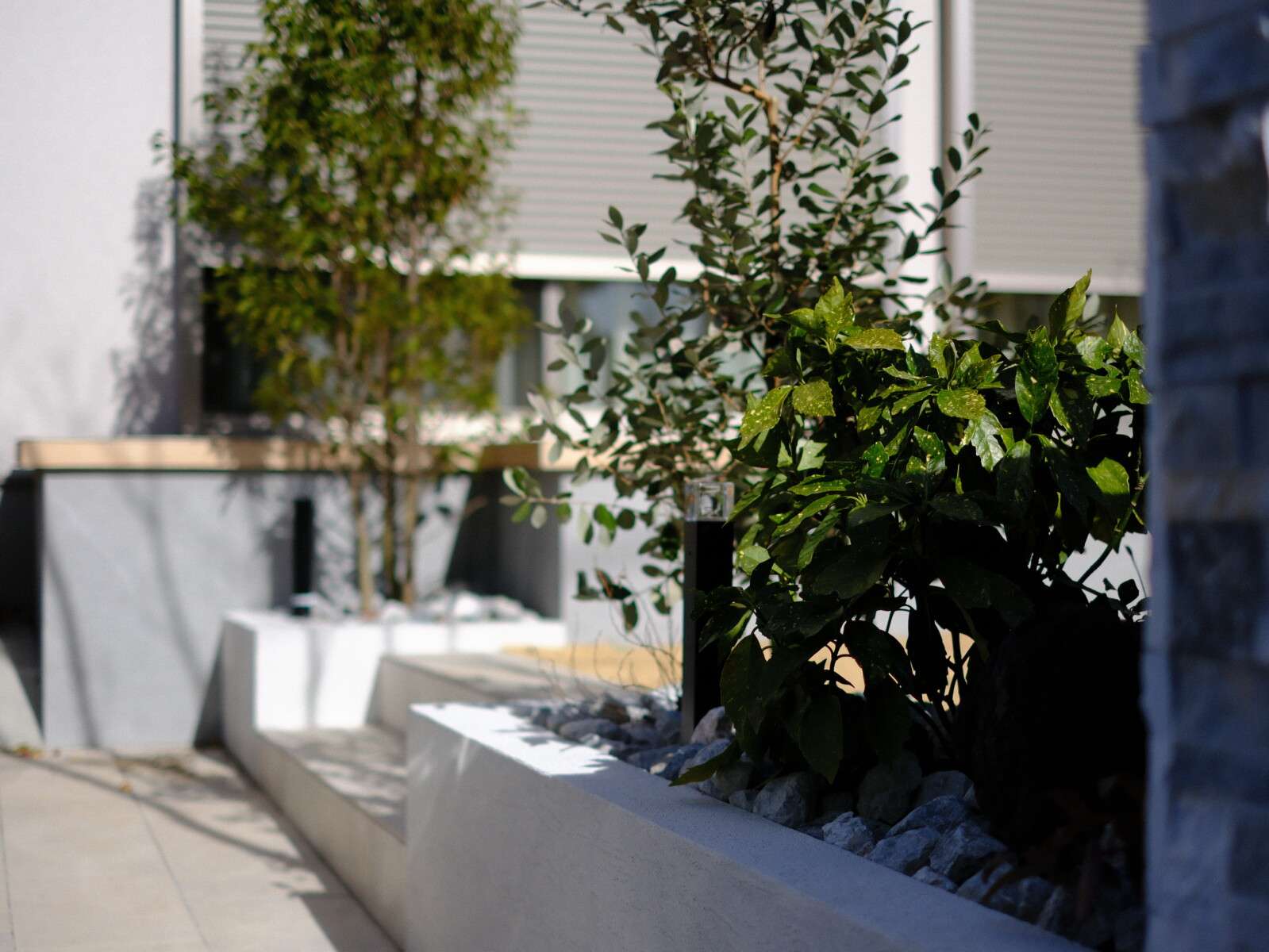 四季の変化が楽しめる植栽スペースと敷石の組み合わせ