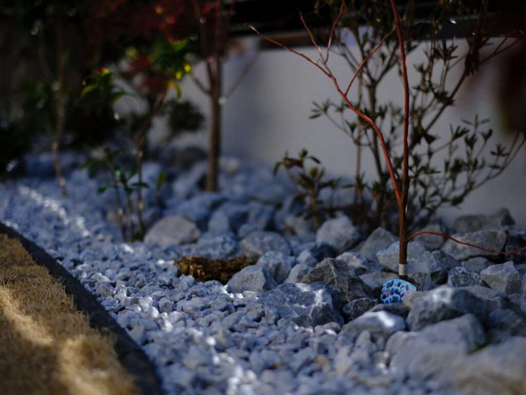 ロックガーデン風の植栽エリア