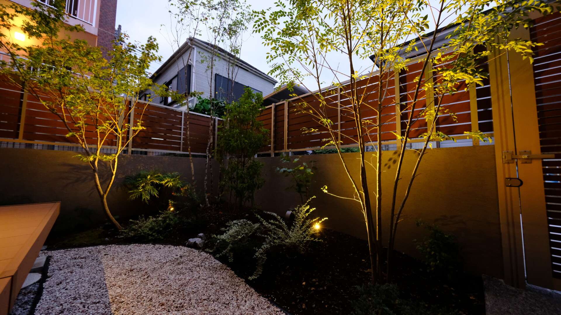 夜間照明で浮かび上がるモミジと白砂利の対比