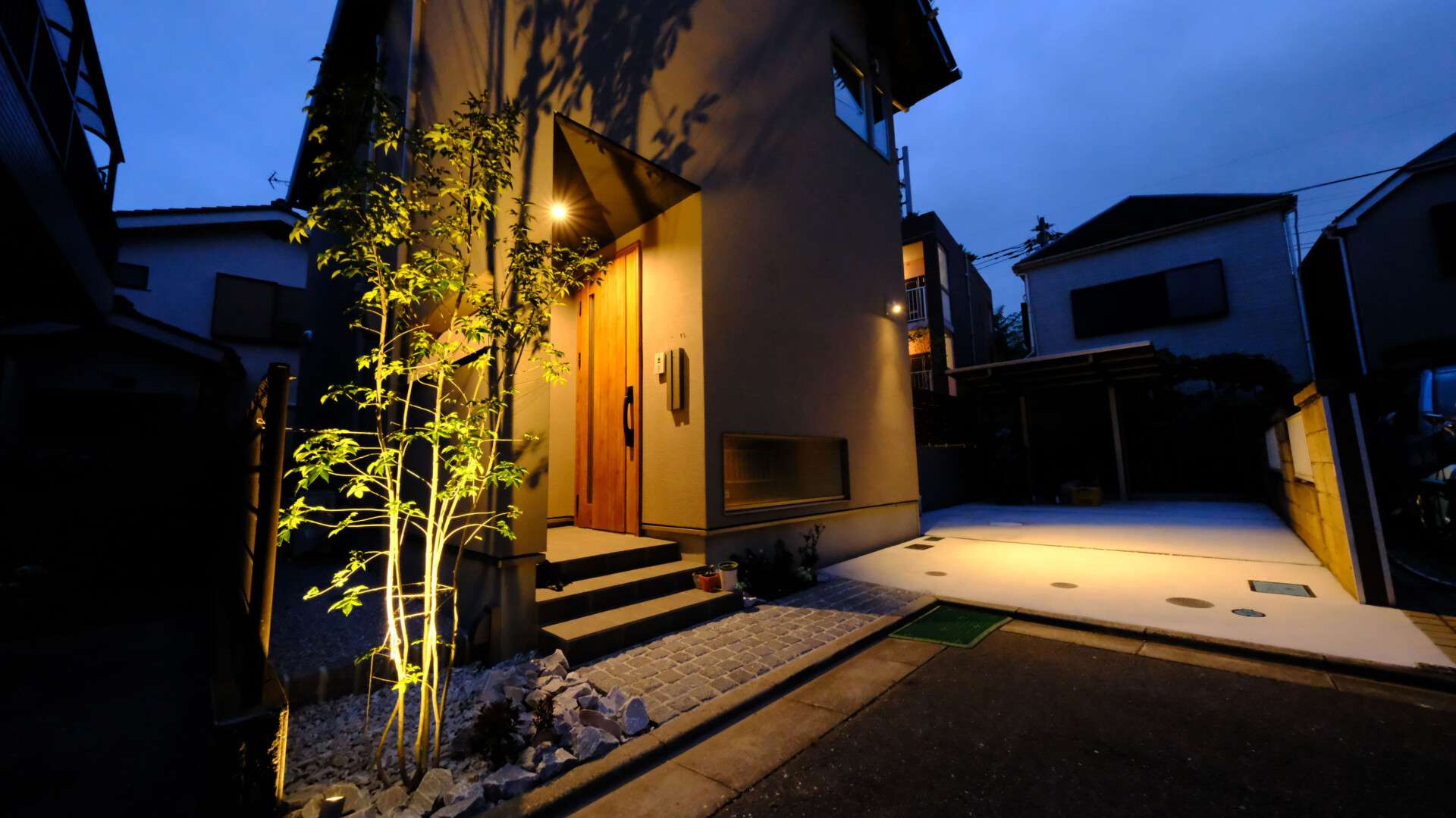 夜の照明が植栽に美しく当たるシンボルツリーの陰影