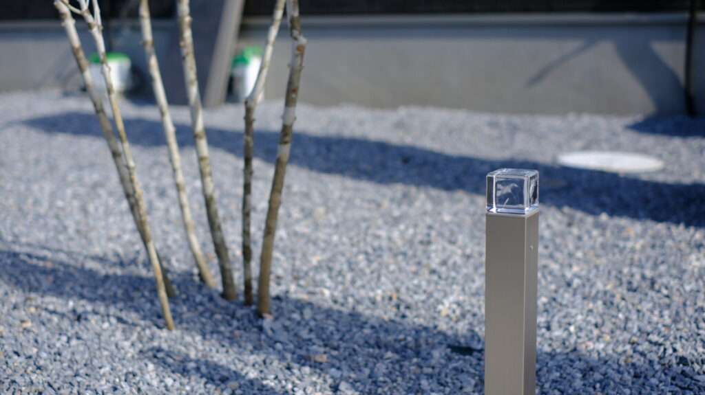 夜間照明を設置したアオダモ周辺。夜の景観に配慮したライティング。