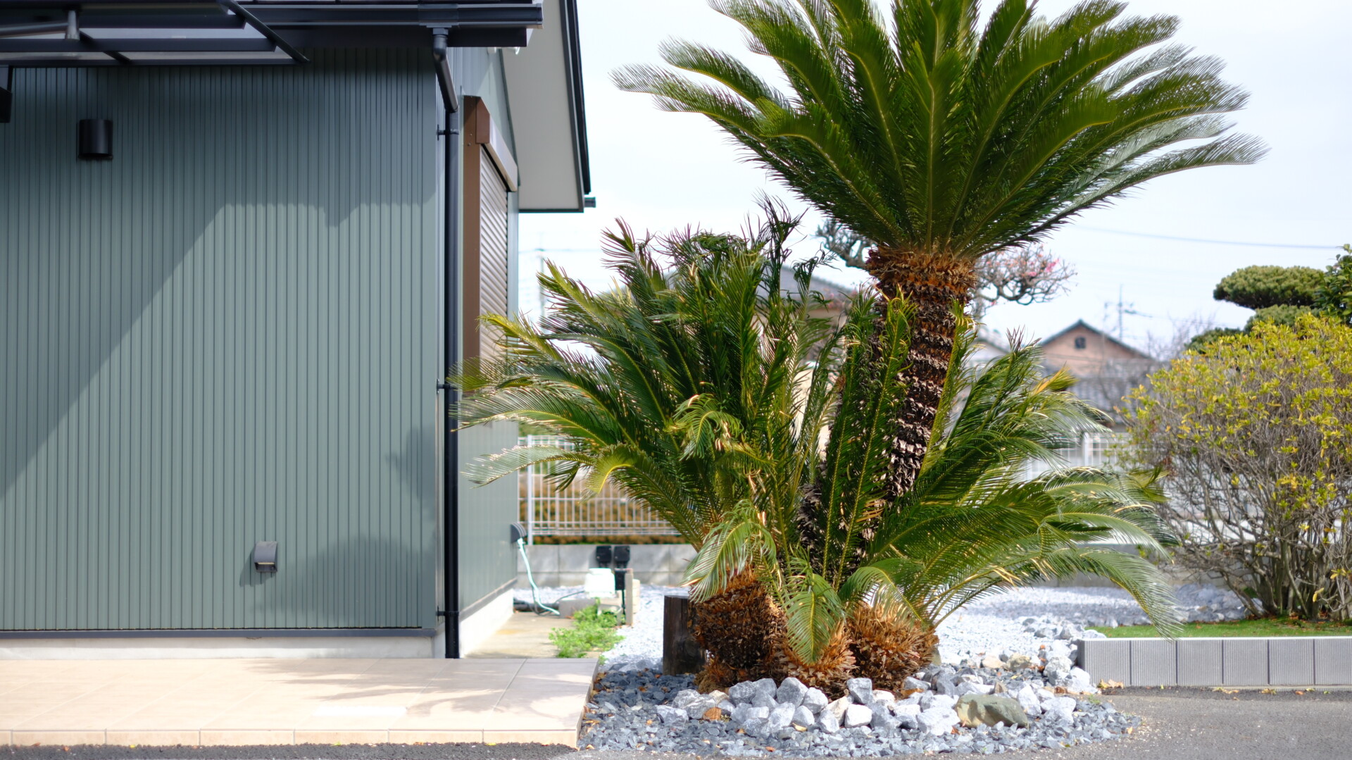 化粧砂利と自然石で雑草対策をしたソテツの足元