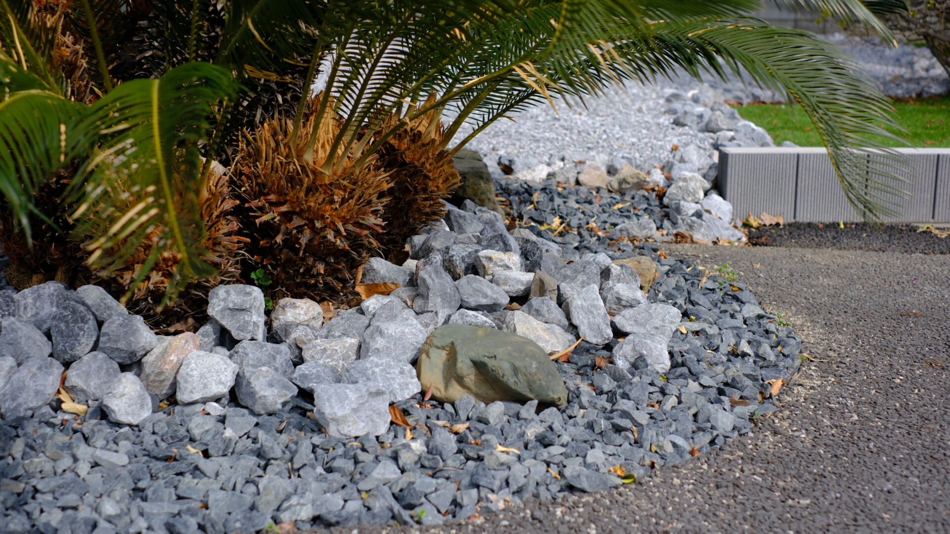 化粧砂利と自然石で雑草対策をしたソテツの足元のアップ