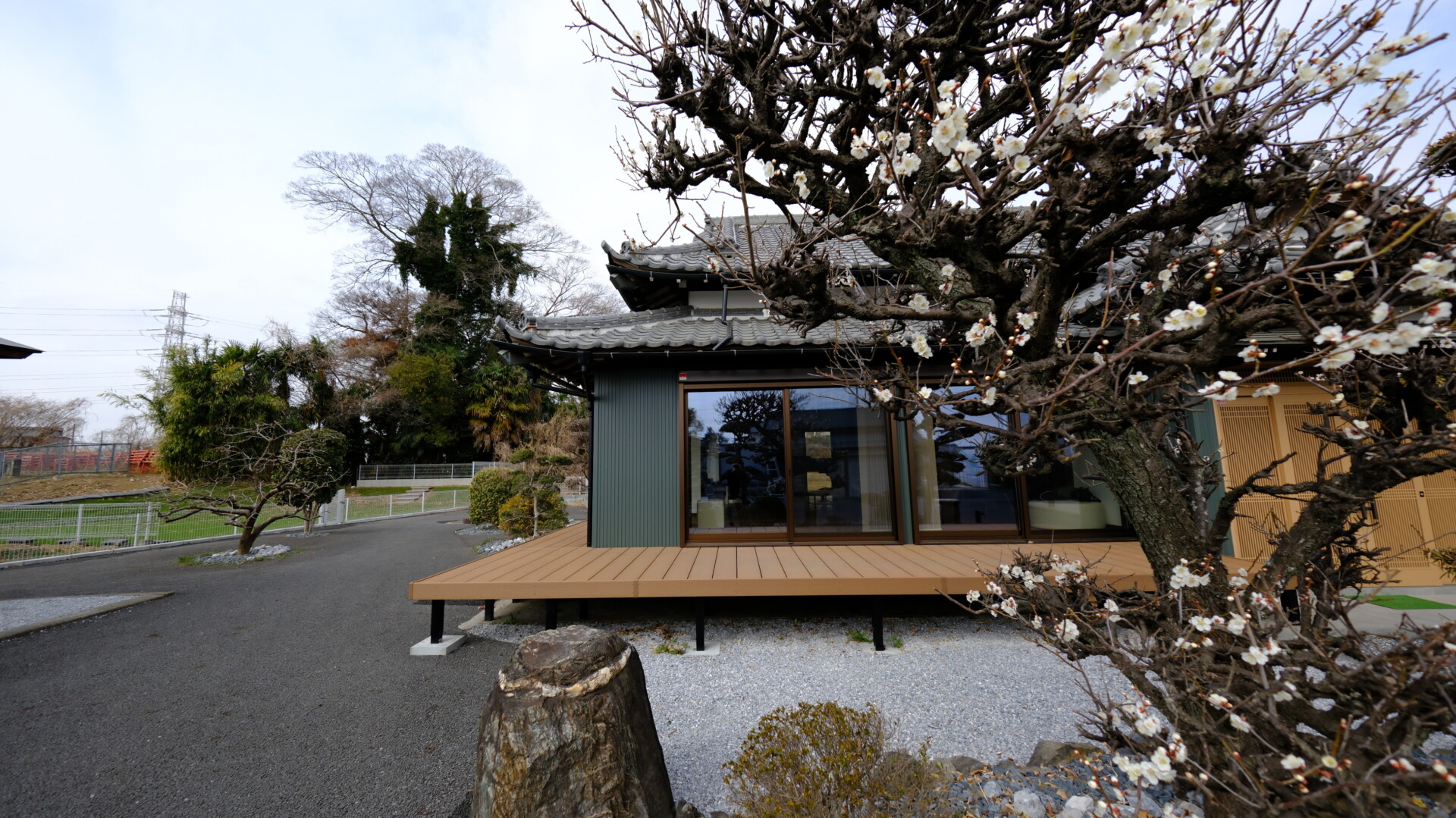 デッキ前に広がる剪定された庭