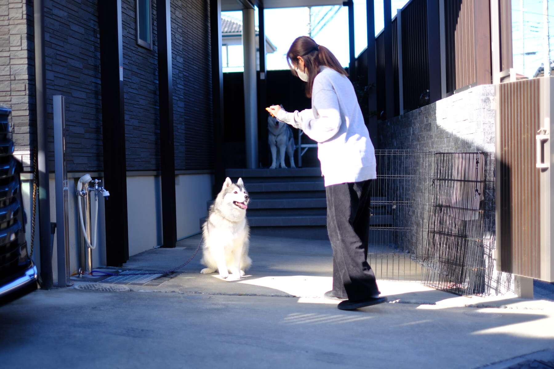 Gルーフの屋根の下、ペットと過ごせる落ち着いた夕暮れの庭空間。照明の柔らかな灯りが印象的