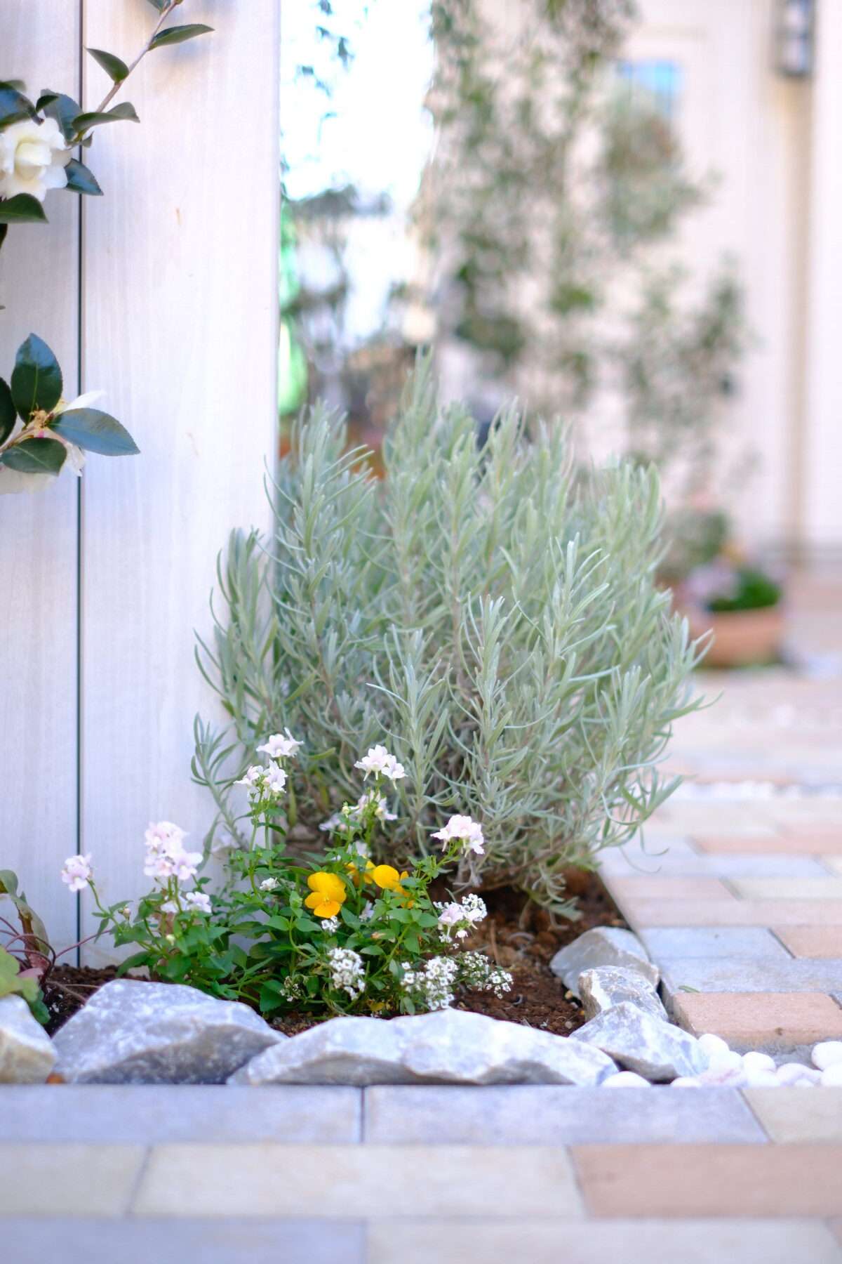 ローズマリーなどの植栽が並ぶアプローチ脇