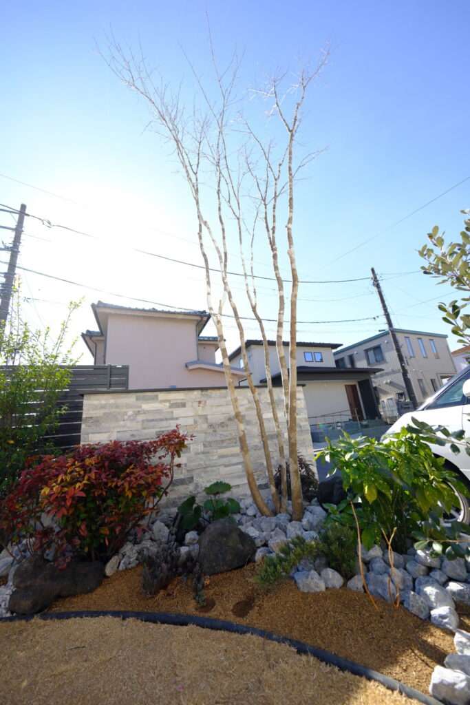 自然な樹形が美しい植栽エリアと芝のコントラスト