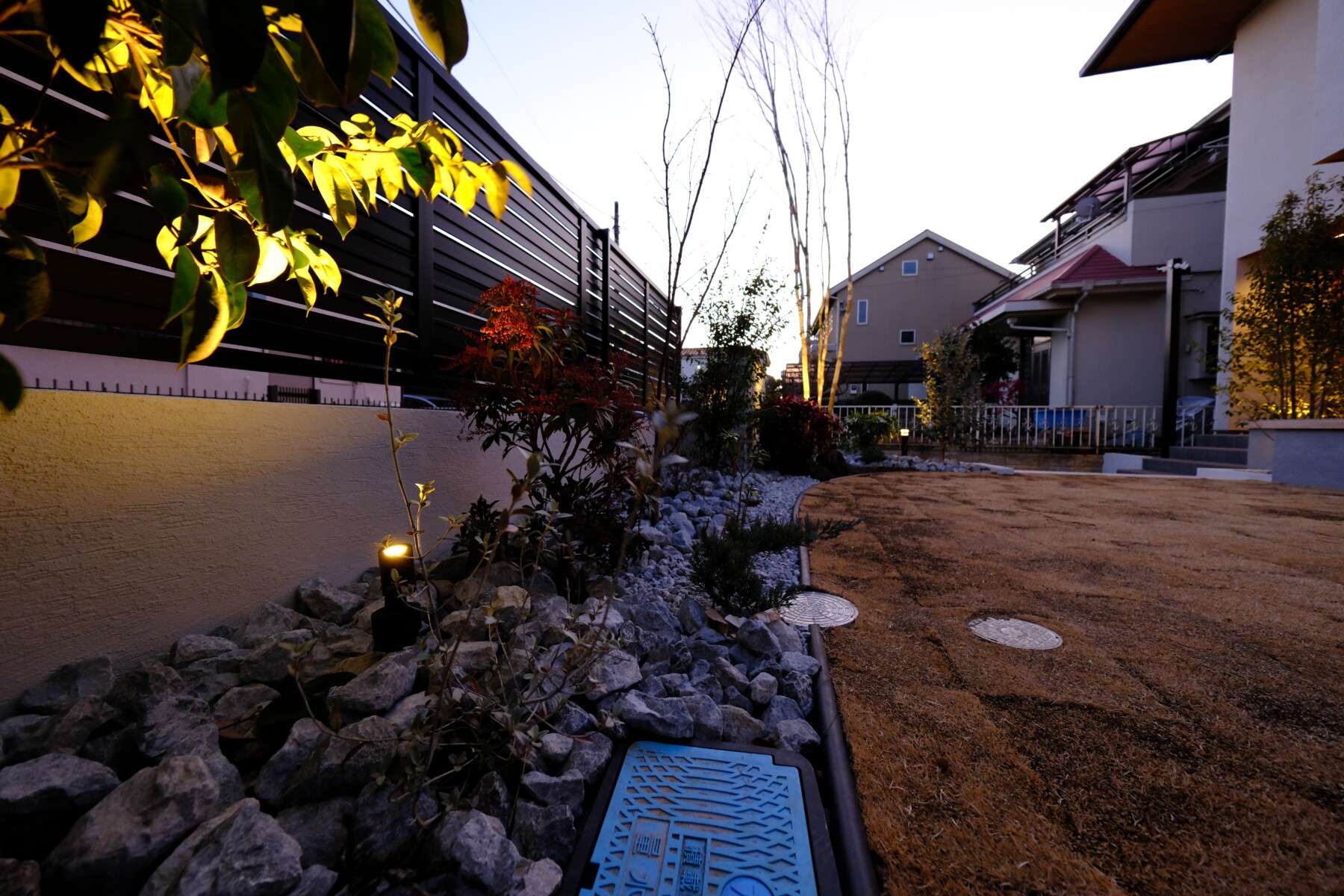 ソヨゴやモミジなど山採り樹木を配置したナチュラルガーデンの一角