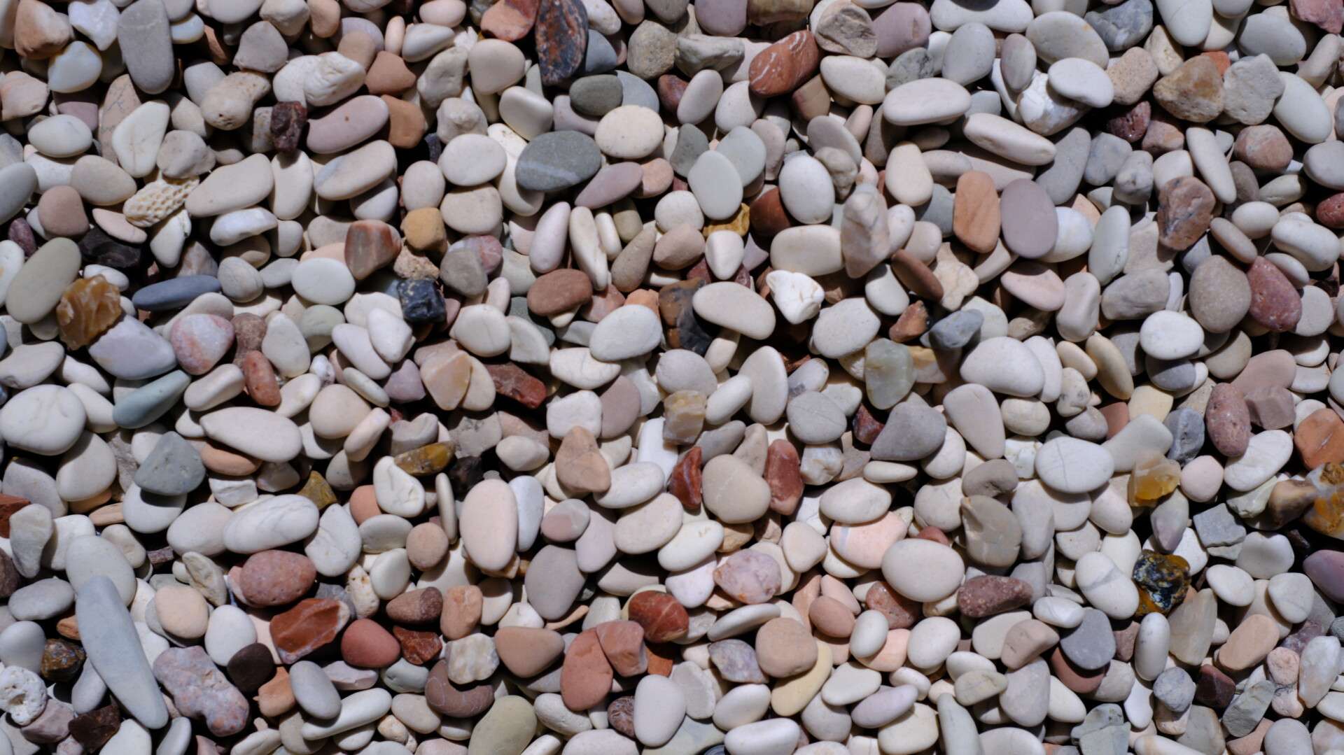 化粧砂利のアップ