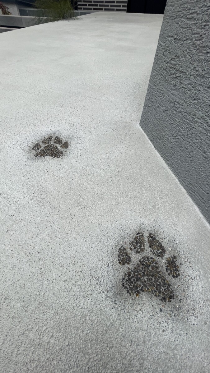 アプローチのコンクリートに施された、遊び心あふれる可愛い愛犬の足跡スタンプのアップ