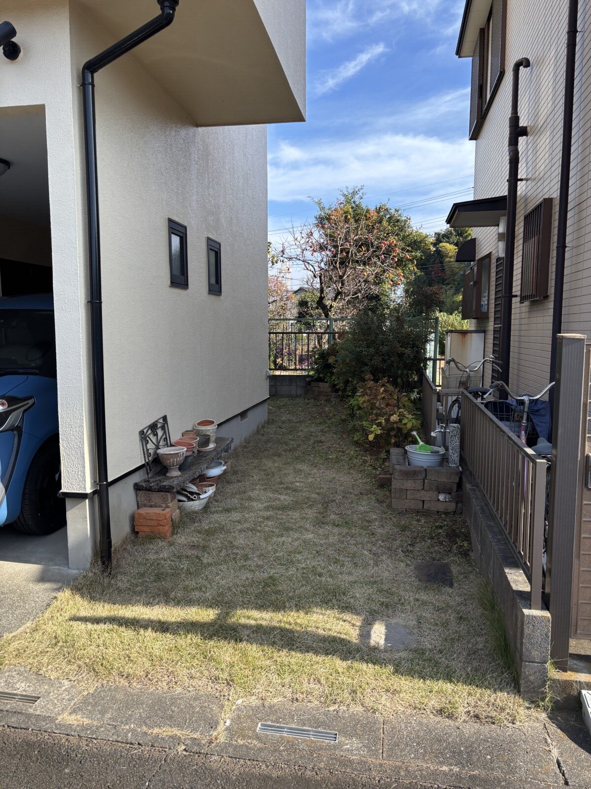 生い茂った植栽のビフォー
