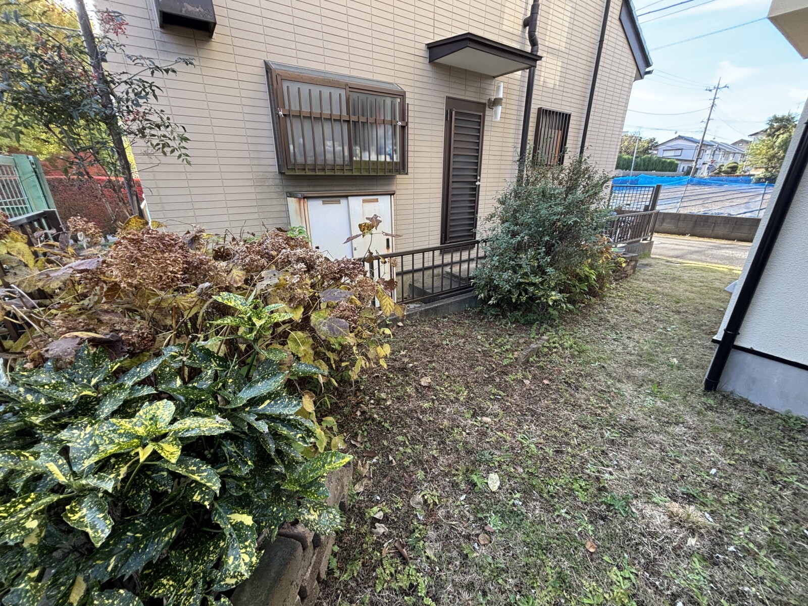 生い茂った植栽とリンチから丸見えのビフォー