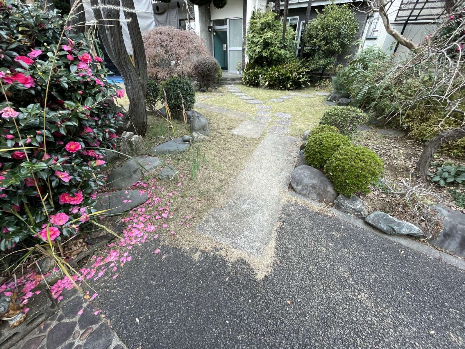 リフォーム前の庭。庭石と植栽が多く配置された様子（川口市）