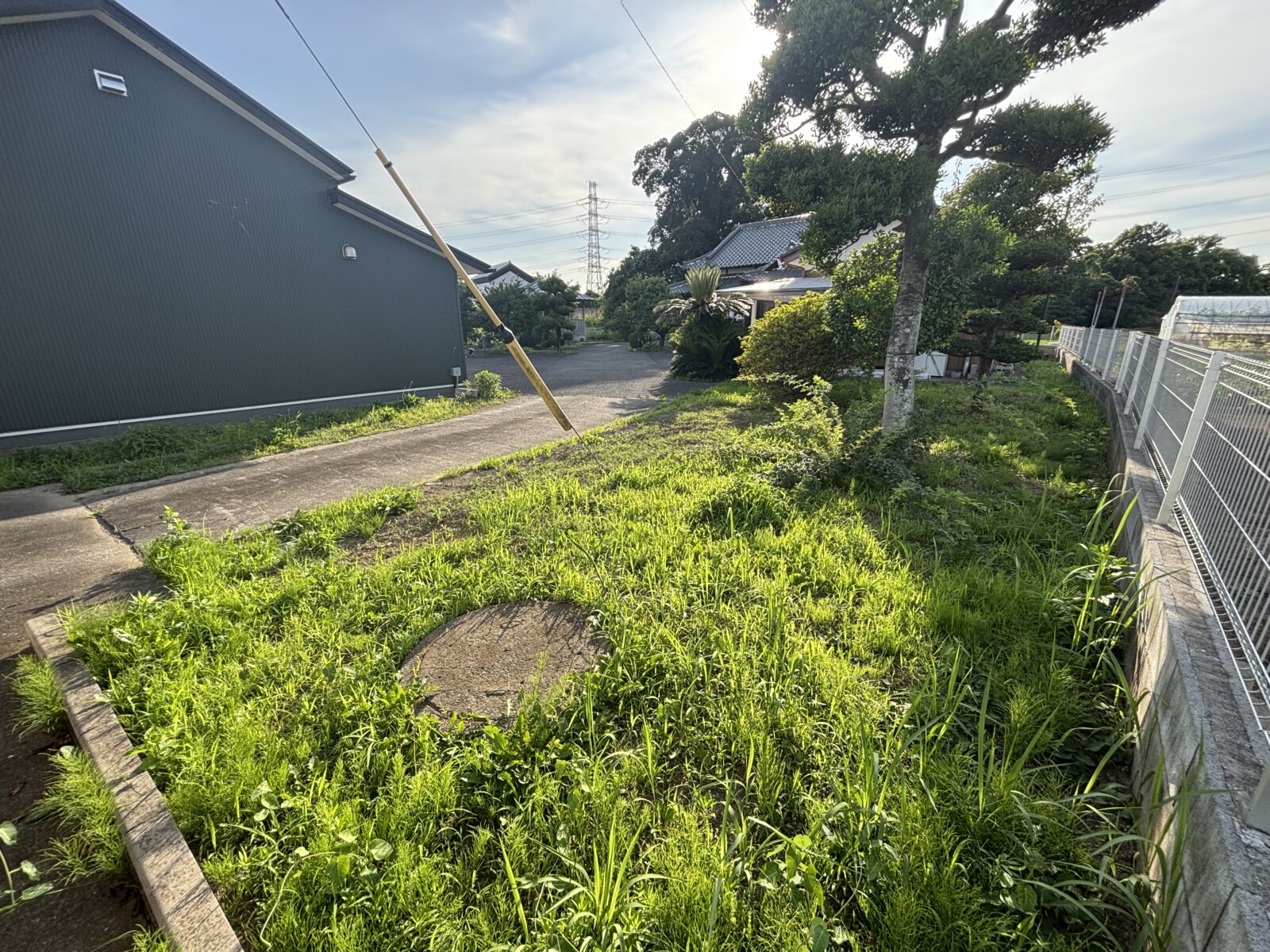 雑草の生い茂る入り口横のスペース