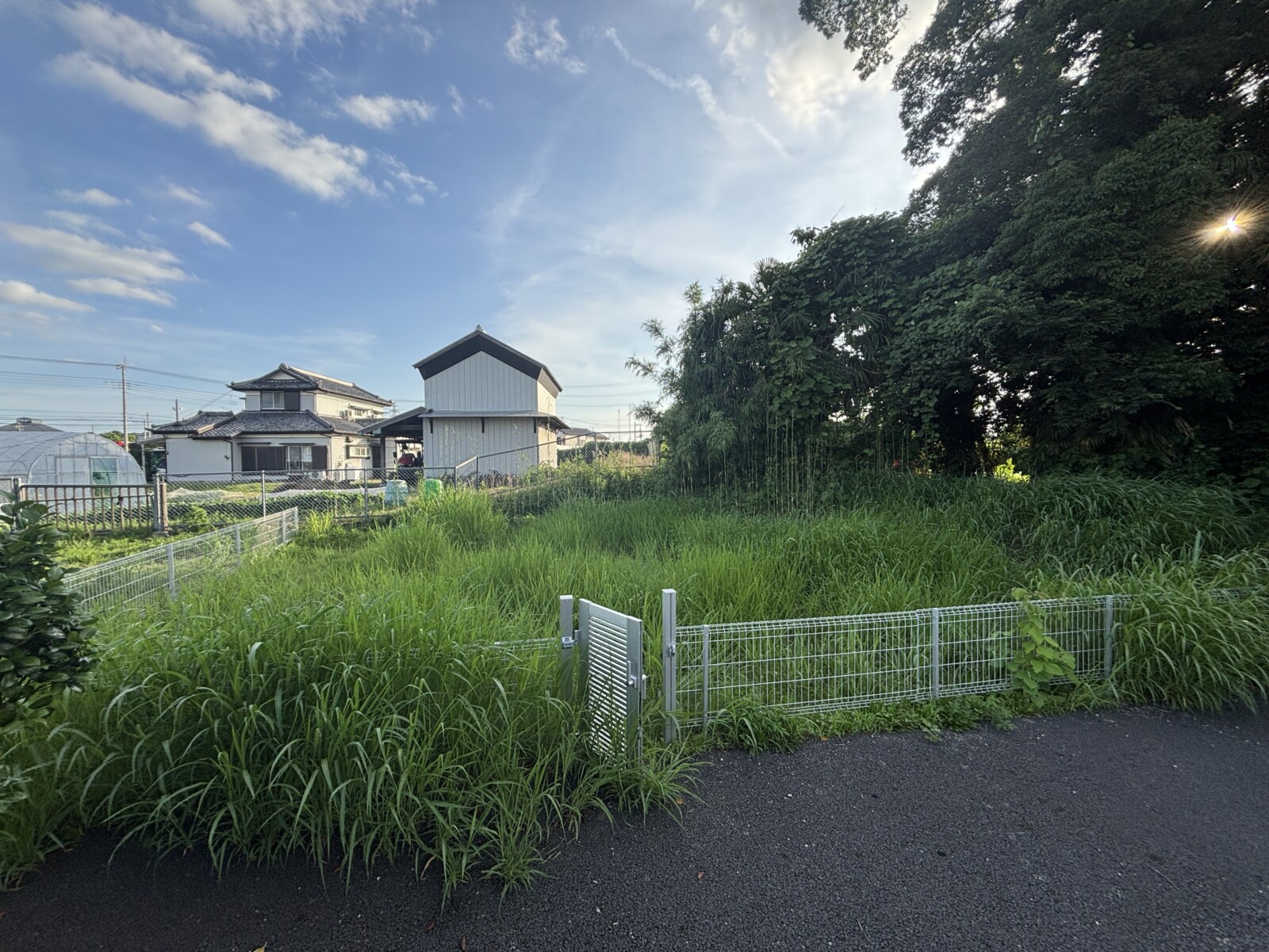 雑草の生い茂った広い庭