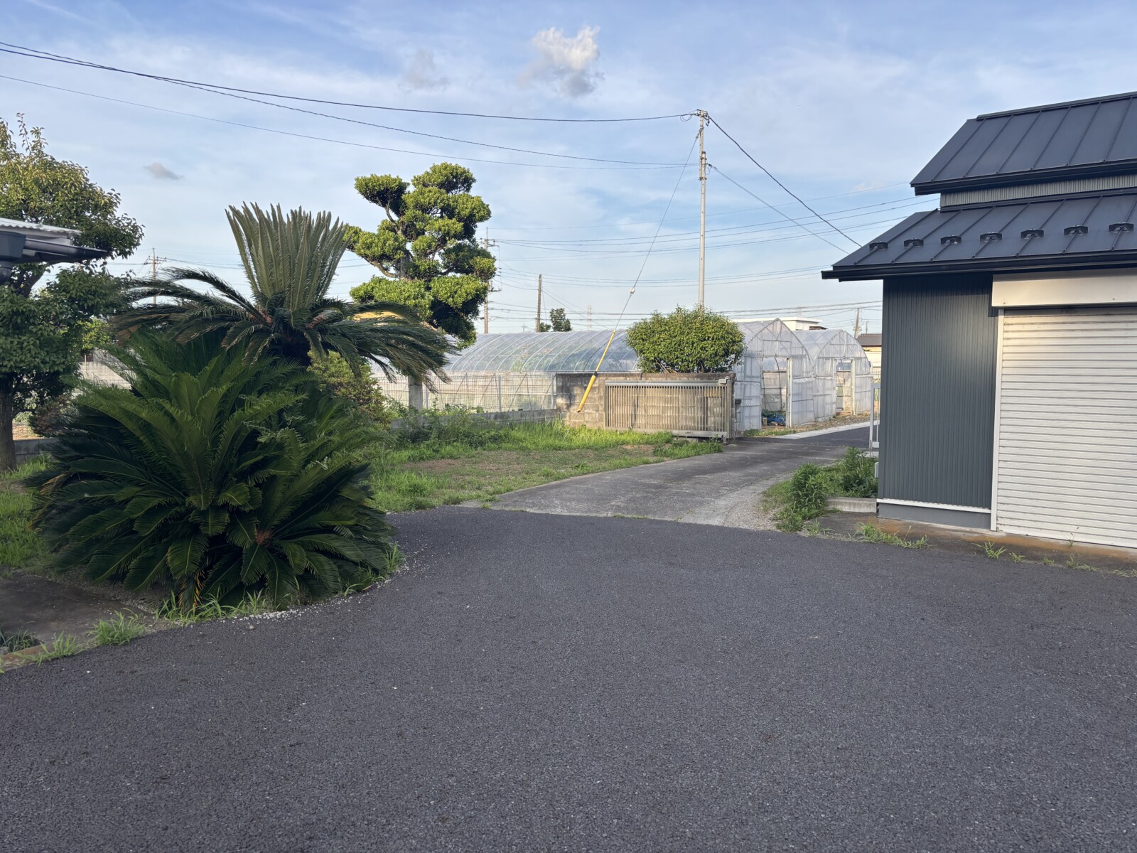 凸凹の路面と雑草が生い茂る門まわり