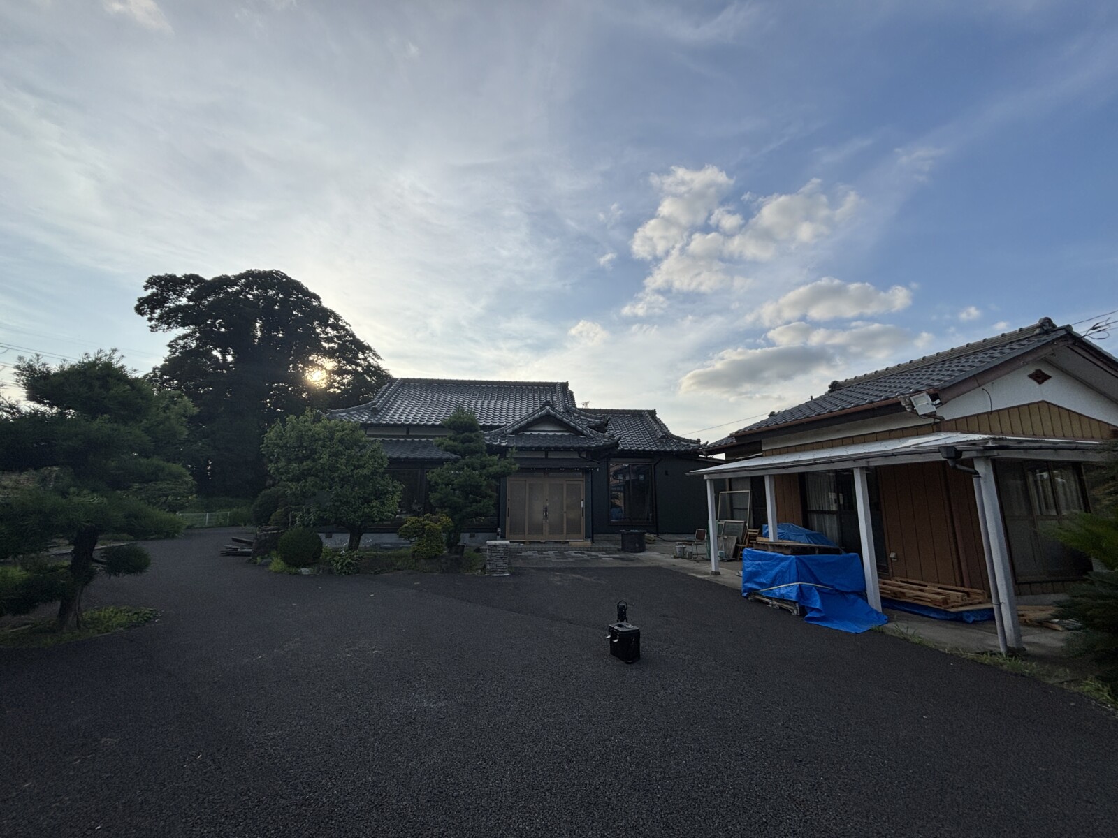 雑草が生い茂った玄関まわり