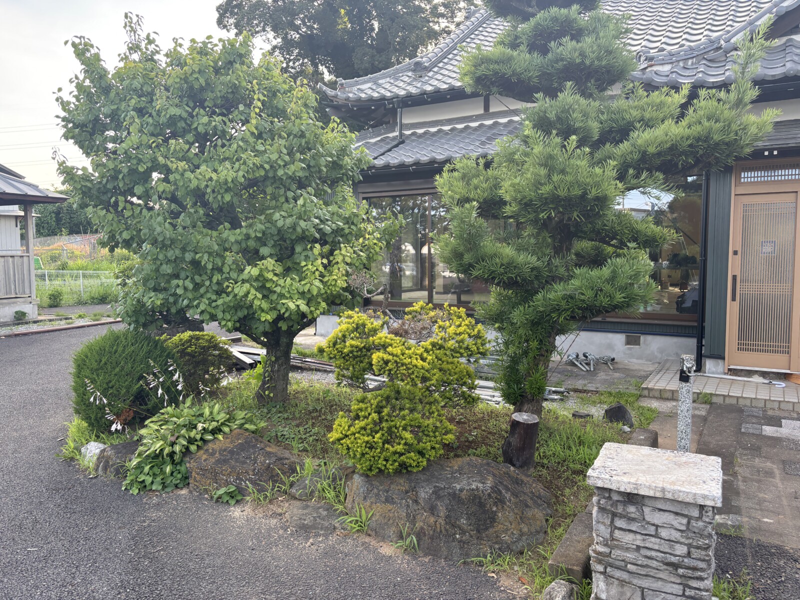 雑草が生い茂ったリビング前の植木スペース