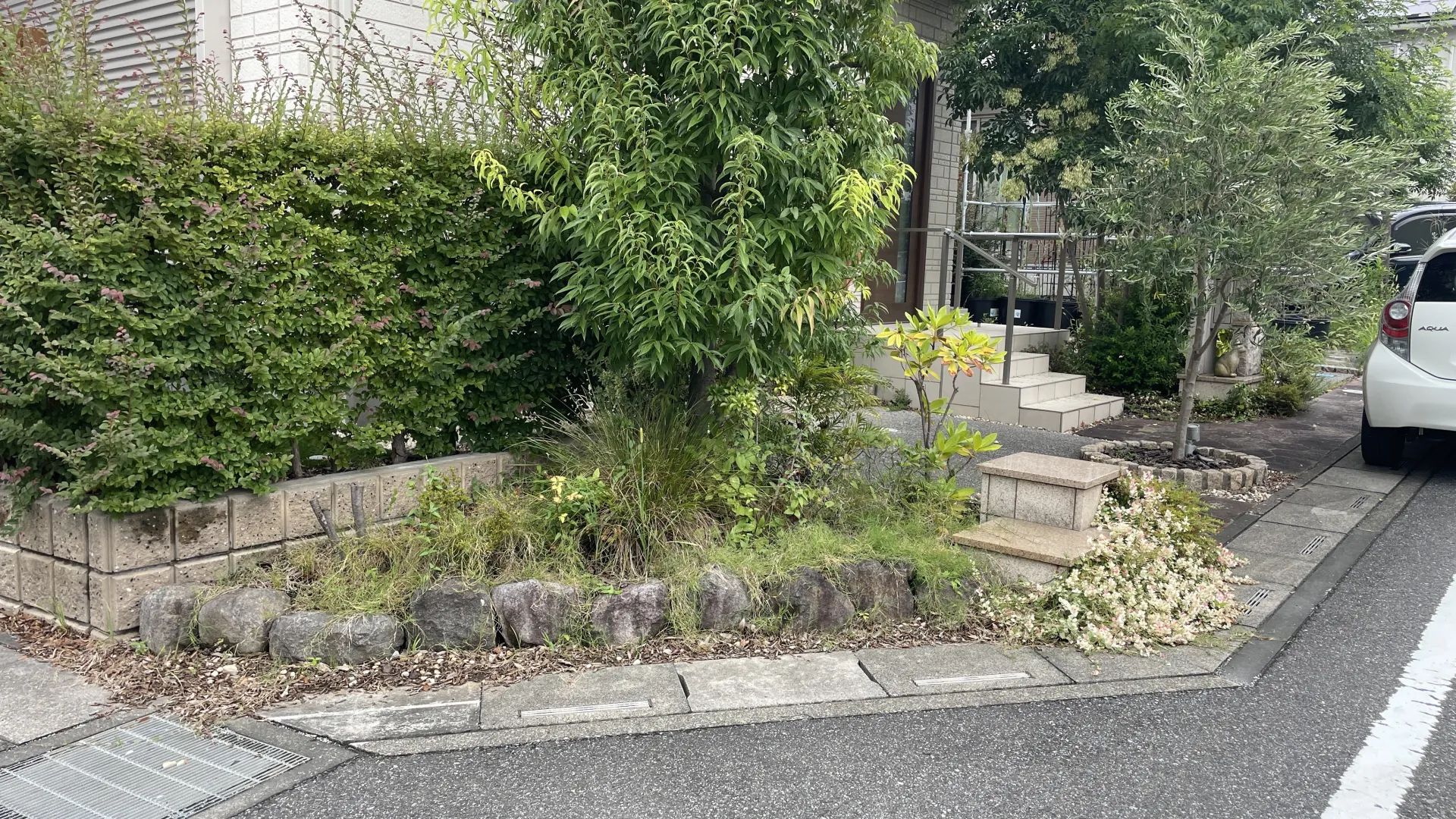 手入れが難しくなり、枝葉が道路側まで伸びてしまっていたリフォーム前の庭と生垣。